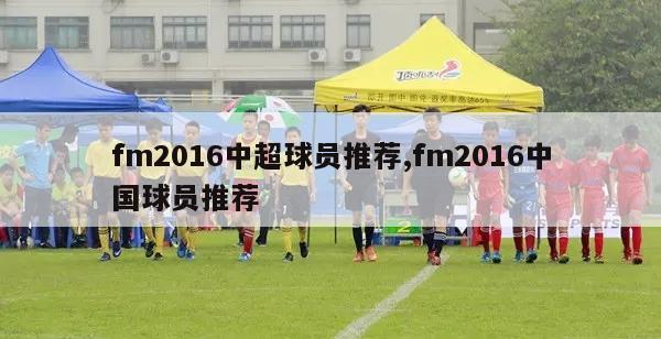 fm2016中超球员推荐,fm2016中国球员推荐