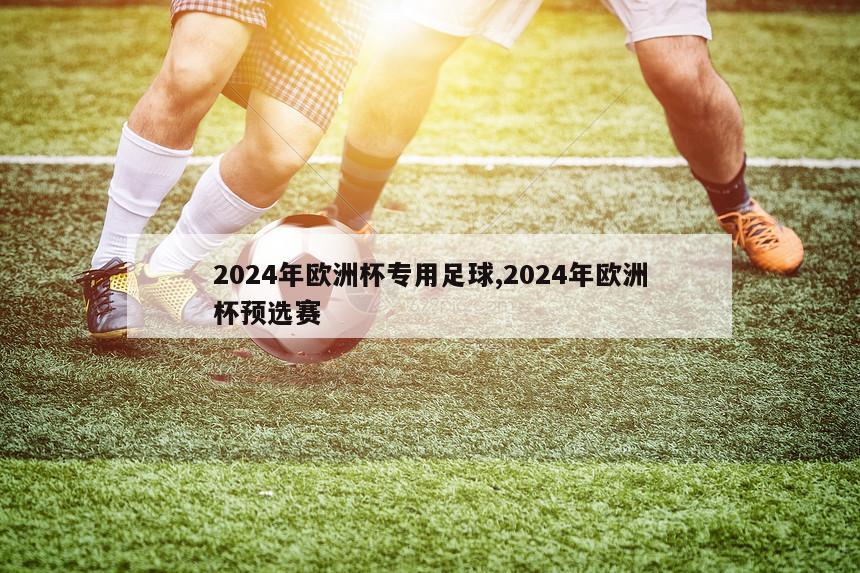 2024年欧洲杯专用足球,2024年欧洲杯预选赛