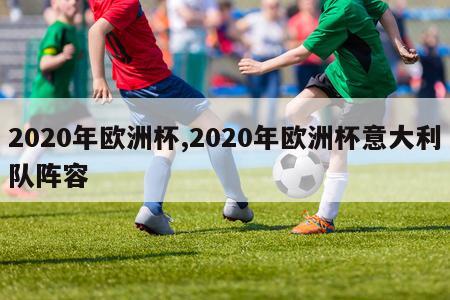 2020年欧洲杯,2020年欧洲杯意大利队阵容