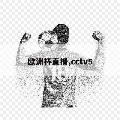 欧洲杯直播,cctv5